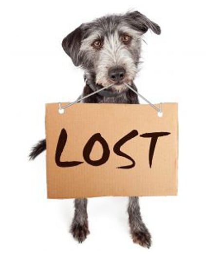 lost_found_image