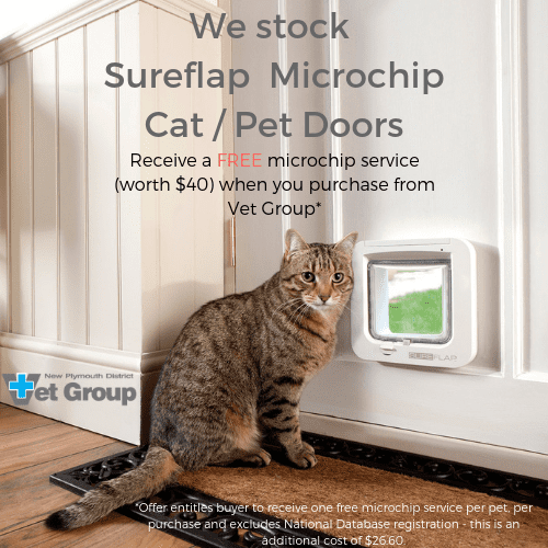 Microchip Cat / Pet Doors – * Free Microchipping When You Purchase From Us!