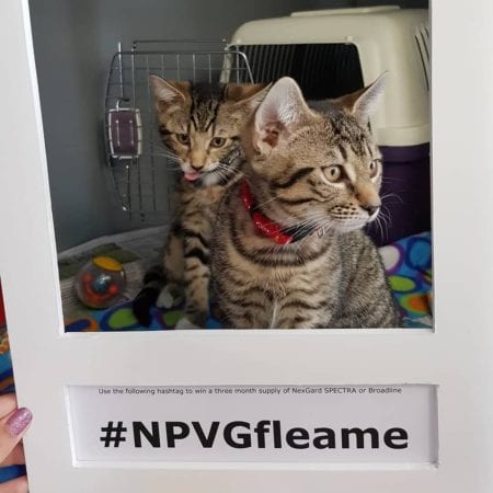 #NPVGFleame Instagram Photo Competition