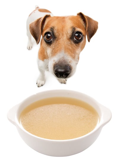 best bone broth for cats