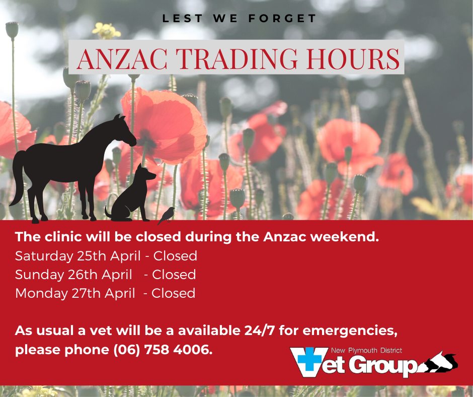 Contact Us New Plymouth Vet Group