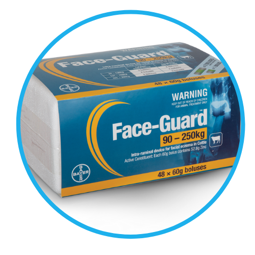 Zinc Prevention for Facial Eczema (FE)