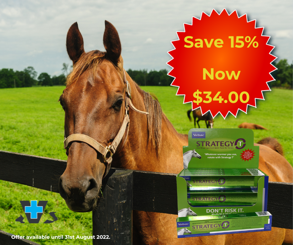 Promotions New Plymouth Vet Group