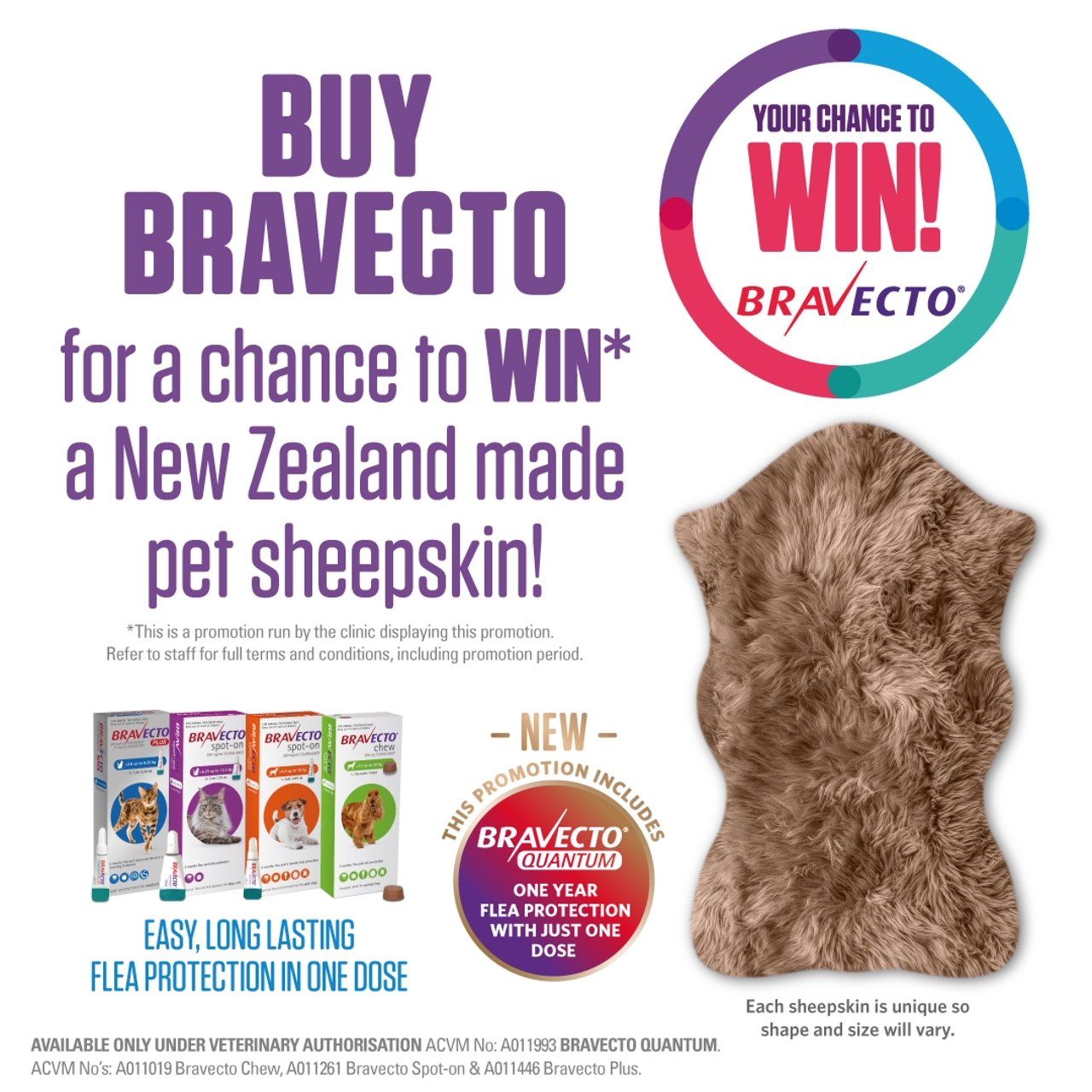 Win 1 of 2 NZ Made Pet Sheepskins New Plymouth Vet Group